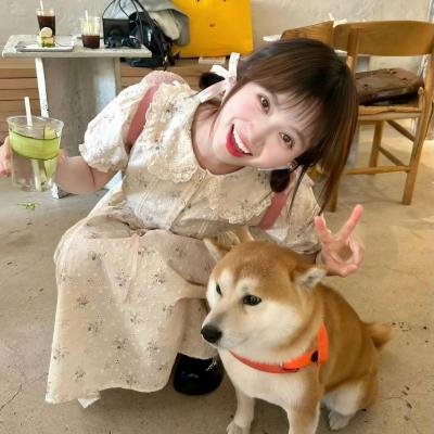 新辰之上